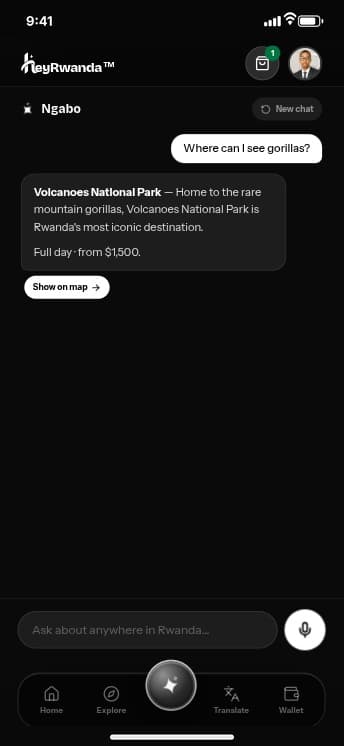 Ngabo chat screen